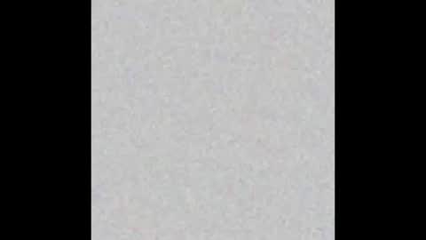 Snapshot of yellowsnakes chatting on November 24, 10:26 am . y e l l o w s n a k e s . online show from November 24, 10:26 am