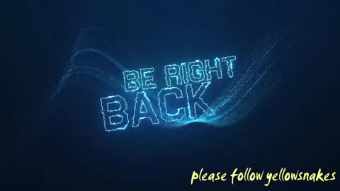 Snapshot of yellowsnakes chatting on November 24, 10:42 pm . y e l l o w s n a k e s . online show from November 24, 10:42 pm