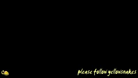 Snapshot of yellowsnakes chatting on December 2, 12:43 pm . y e l l o w s n a k e s . online show from December 2, 12:43 pm