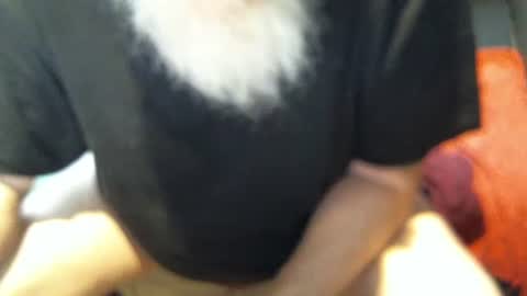 Snapshot of yellowsnakes chatting on December 5, 6:04 pm . y e l l o w s n a k e s . online show from December 5, 6:04 pm