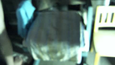 .     y e l l o w s n a k e s       . online show from February 19, 5:14 am