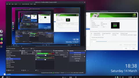 .     y e l l o w s n a k e s       . online show from March 15, 12:38 am