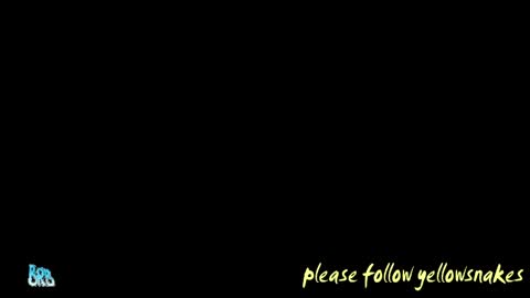 Snapshot of yellowsnakes chatting on May 12, 5:10 pm . y e l l o w s n a k e s . online show from May 12, 5:10 pm