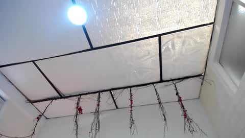 YEM online show from March 23, 3:38 pm