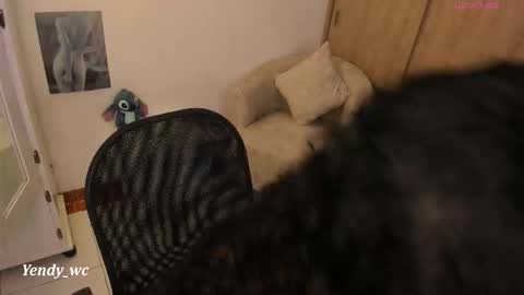 yendy_wc online show from February 6, 1:47 pm