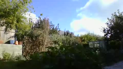 Yoann online show from October 9, 1:42 pm