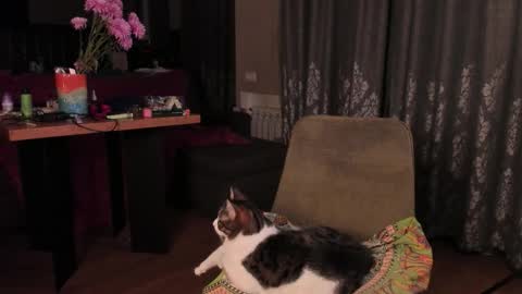 Snapshot of yoga_pizza_420 chatting on November 14, 4:33 am Max online show from November 14, 4:33 am