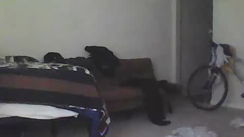 kindahorny online show from February 15, 9:37 pm