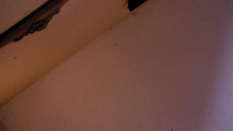 Sophiestar online show from October 18, 2:58 am