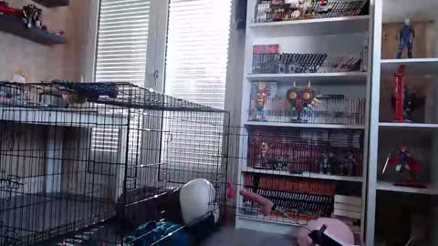 Owned by Hell On Heels online show from March 7, 9:06 am