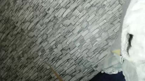 angel online show from February 23, 2:14 pm