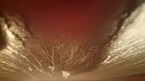 Snapshot of youth505 chatting on December 5, 2:20 am youth505 online show from December 5, 2:20 am