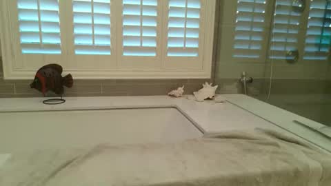 yttims online show from February 1, 3:43 pm