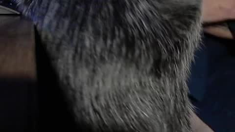 YumGuy69 online show from September 17, 12:40 pm