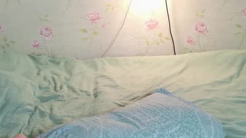 Polly online show from March 18, 2:31 pm