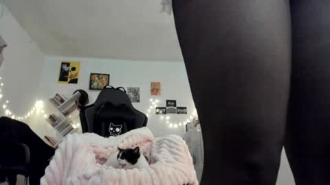 Snapshot of yury_sun chatting on January 18, 9:45 pm paola online show from January 18, 9:45 pm