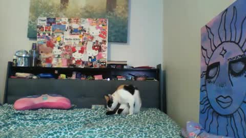 zaddyslilslutbucket online show from September 13, 10:20 pm