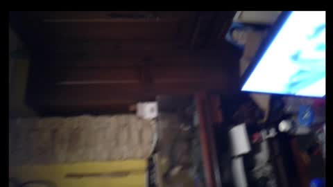 pollasucia13 online show from December 26, 6:41 am