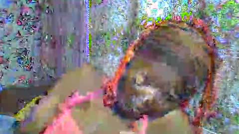 zarinamarlin online show from April 3, 6:00 am