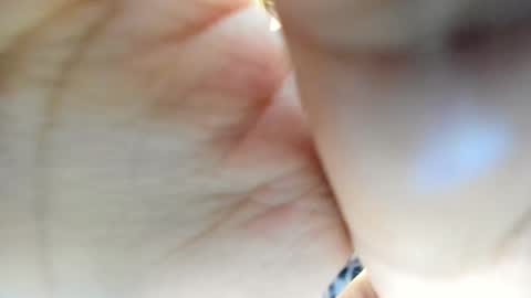 zarirosse online show from December 21, 3:41 pm