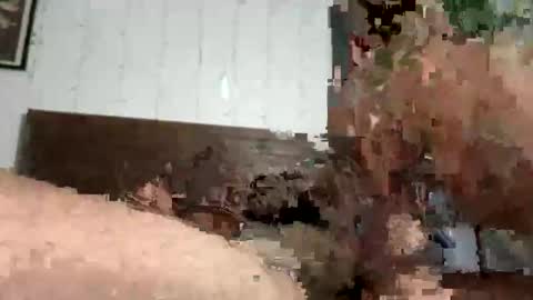 zayden online show from October 23, 7:07 am