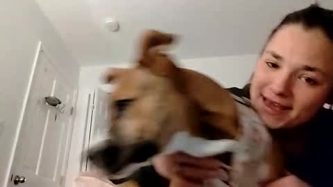 Snapshot of zellelajay2009 chatting on February 12, 2:14 am KENDAL Kaylee online show from February 12, 2:14 am