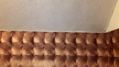 Snapshot of zervale chatting on January 7, 2:41 pm zervale online show from January 7, 2:41 pm