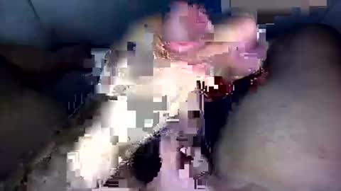 Snapshot of zezin1 chatting on September 19, 3:30 am zezin1 online show from September 19, 3:30 am