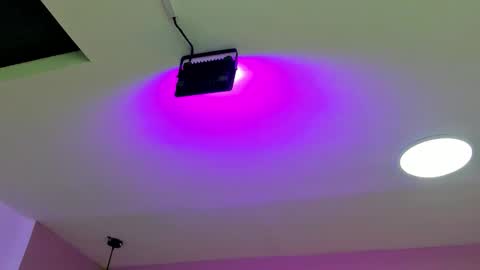 zia online show from September 22, 11:23 am