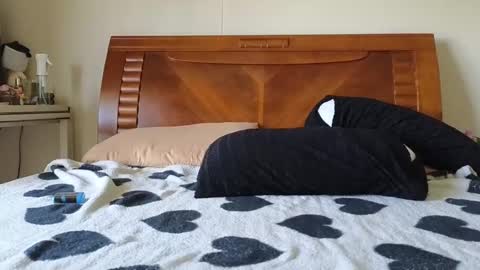 Ziggy ziggy-   online show from December 6, 3:30 am