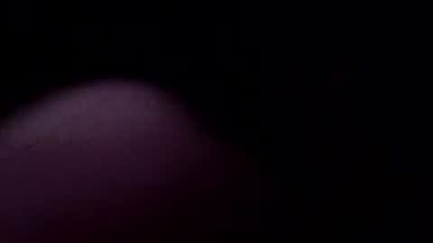 Snapshot of zigor13 chatting on January 7, 4:48 am zigor13 online show from January 7, 4:48 am