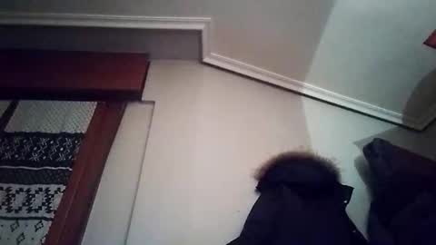 Snapshot of zigor13 chatting on February 4, 9:31 pm zigor13 online show from February 4, 9:31 pm