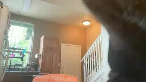 Snapshot of zoeydanner chatting on February 17, 8:48 pm Zoeydanner online show from February 17, 8:48 pm