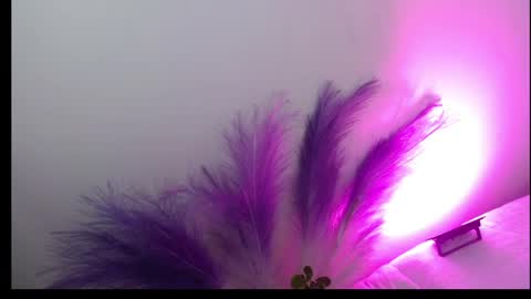 Snapshot of zoley_eyes888 chatting on April 9, 9:42 pm Sam Make me wet please online show from April 9, 9:42 pm