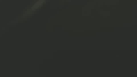 Snapshot of zx66_pyro chatting on December 30, 3:47 am zx66_pyro online show from December 30, 3:47 am