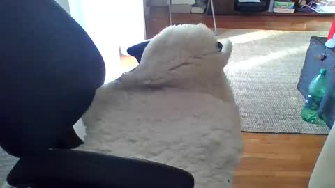 zyggy87 online show from February 23, 6:55 am