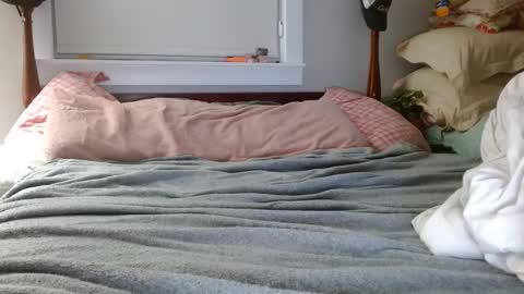 zymase online show from December 7, 2:09 am