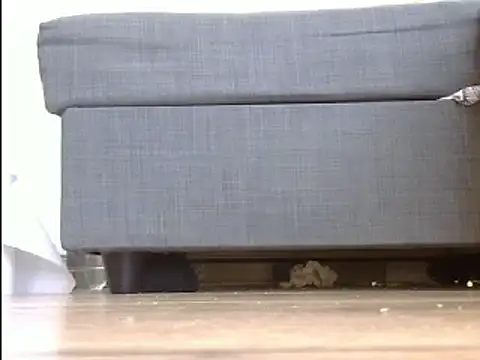 Snapshot of Squirtlady38 chatting on March 20, 10:54 am Squirtlady38 online show from March 20, 10:54 am