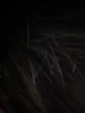 Serena-AU online show from January 15, 3:27 pm