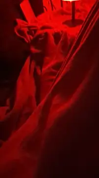 BirdyOfficial   online show from November 7, 1:27 am