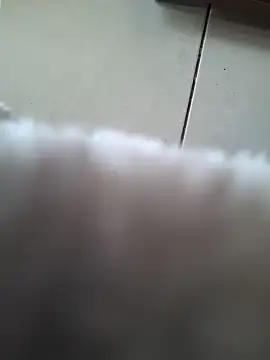 Snapshot of biboii chatting on February 8, 3:00 pm biboii online show from February 8, 3:00 pm