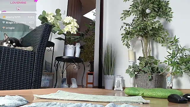 Snapshot of Squirtmania chatting on January 1, 7:20 am Squirtmania online show from January 1, 7:20 am