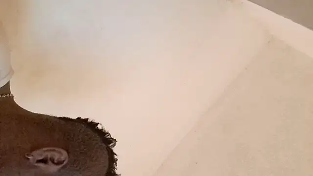 royblackbigpvt online show from March 25, 6:03 pm