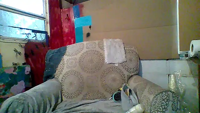 Snapshot of spundarella420 chatting on March 10, 1:21 pm spundarella420 online show from March 10, 1:21 pm