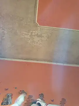 ducicsajsziii online show from April 22, 7:55 am