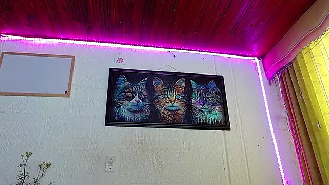 Snapshot of Niky_777 chatting on February 5, 4:25 pm Niky 777 online show from February 5, 4:25 pm