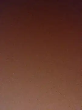 pinaxpack1 online show from November 3, 4:03 am