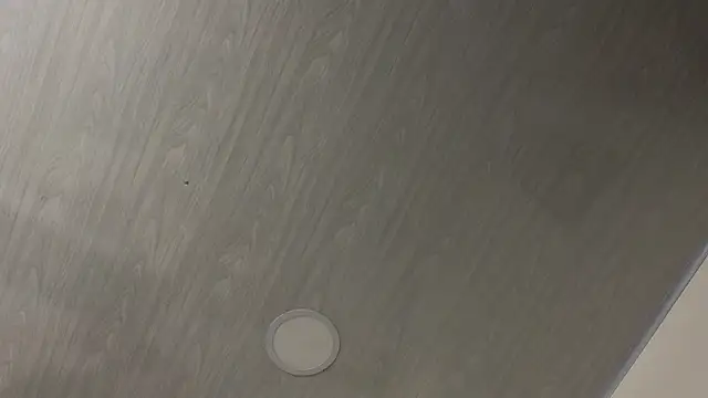 dolly zoe online show from February 24, 5:16 am