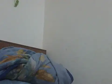 shekira99 online show from April 17, 12:57 am