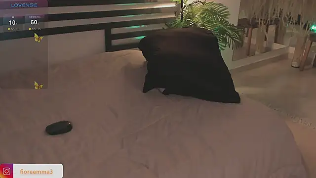 afrodita  25 online show from January 5, 12:09 am